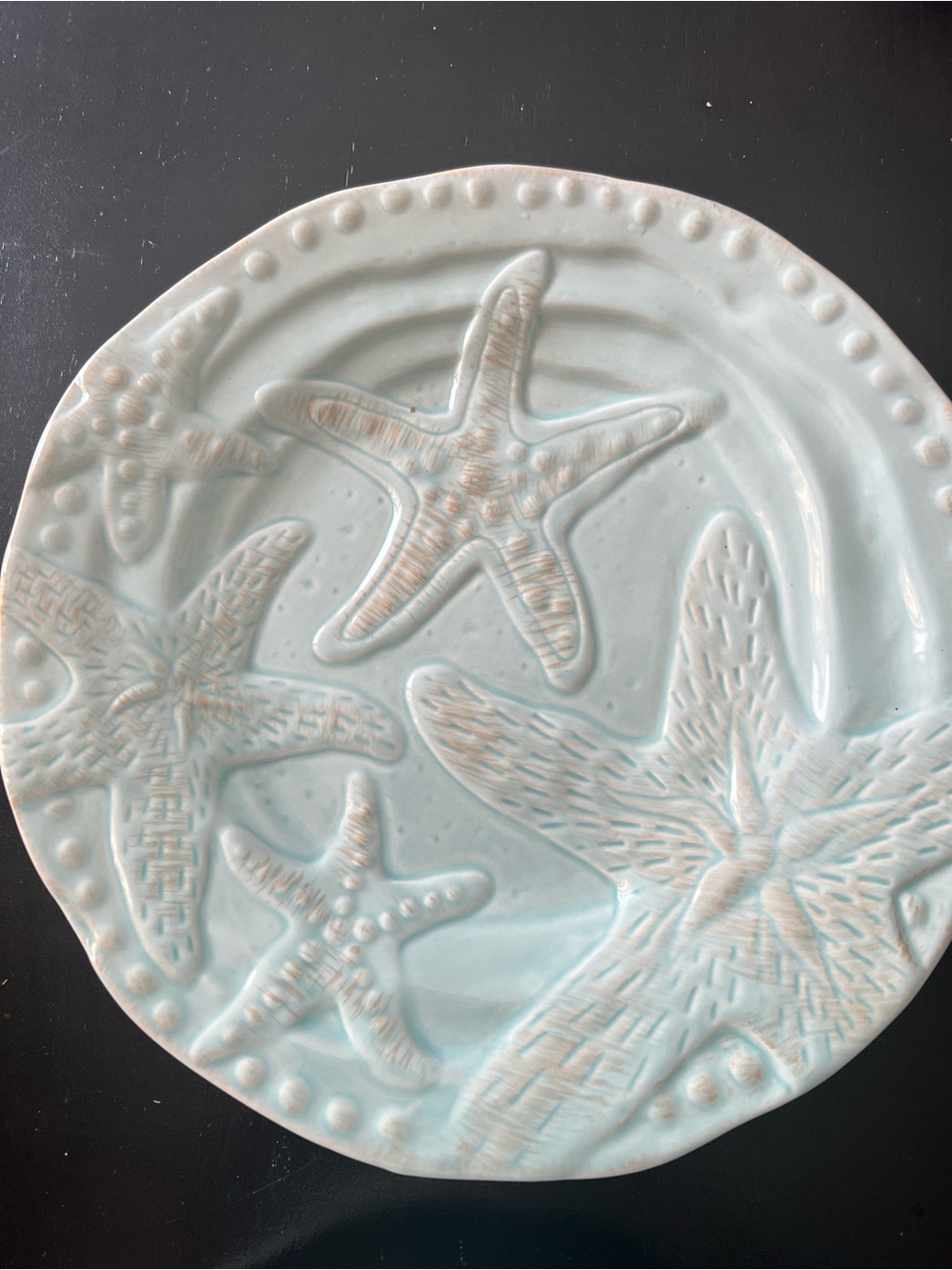 Coastal Blue Sky clay 3D Sea Starfish and Fish dinner plate 10" Two plates